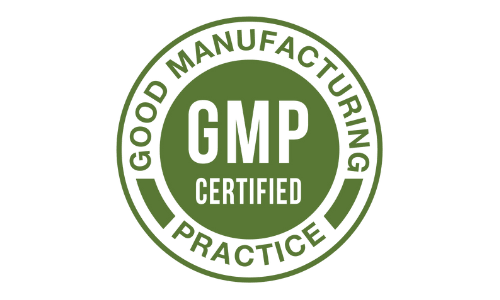 Vision 20 GMP Certified